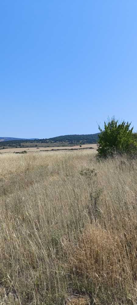 Земеделска земя в Лозарево