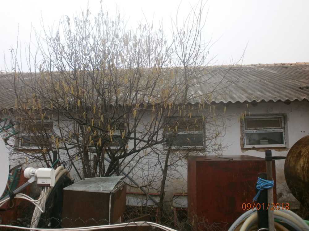 Други в Абрит