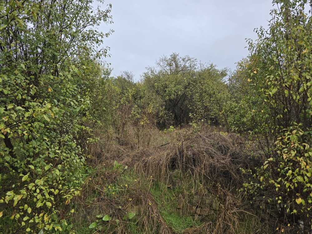 Парцел с къща в Добри дял