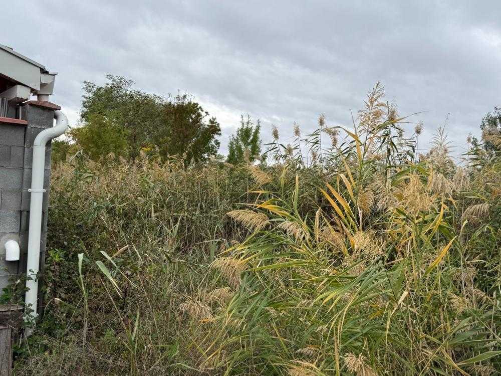 Парцел в Поморие