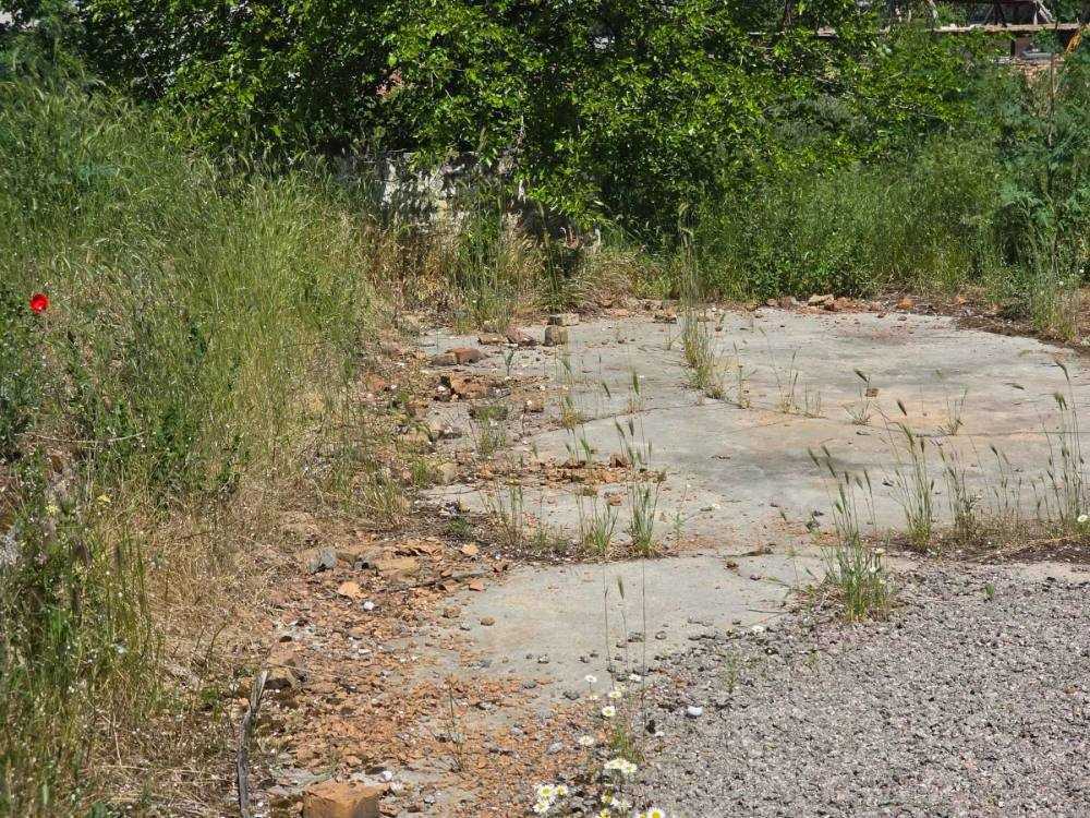 Други в Долна Студена, ИД 656/2021 с. Долна Студена, местност СТОПАНСКИ ДВОР 1