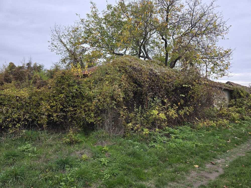 Парцел с къща в Сушица, ул. Петър Янев