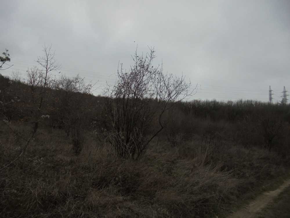 Парцел в Оброчище, гр. Добрич, ул. Независимост №12, ет. 2