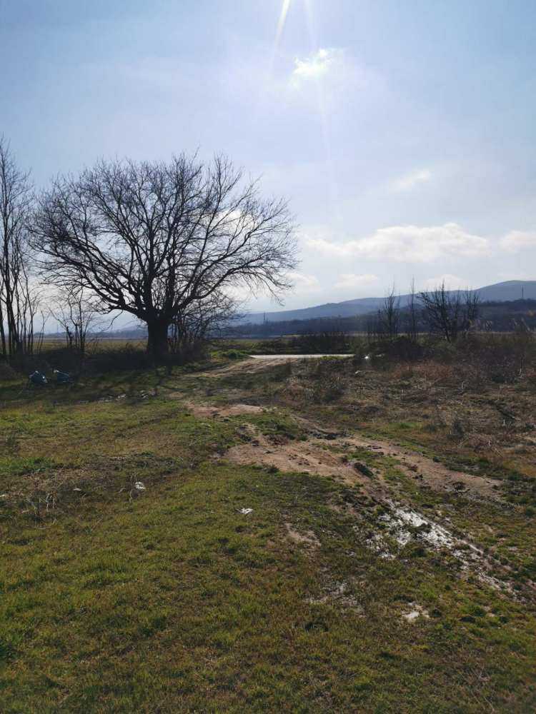 Земеделска земя в Брестовица, с. Брестовица, общ. Родопи, обл. Пловдив, Местност: „МИСИЛИМА“