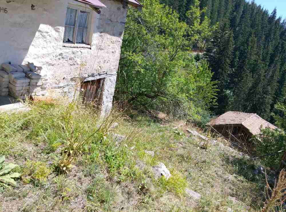 Парцел в Зорница, с.Зорница,община Чепеларе,обл.Смолян