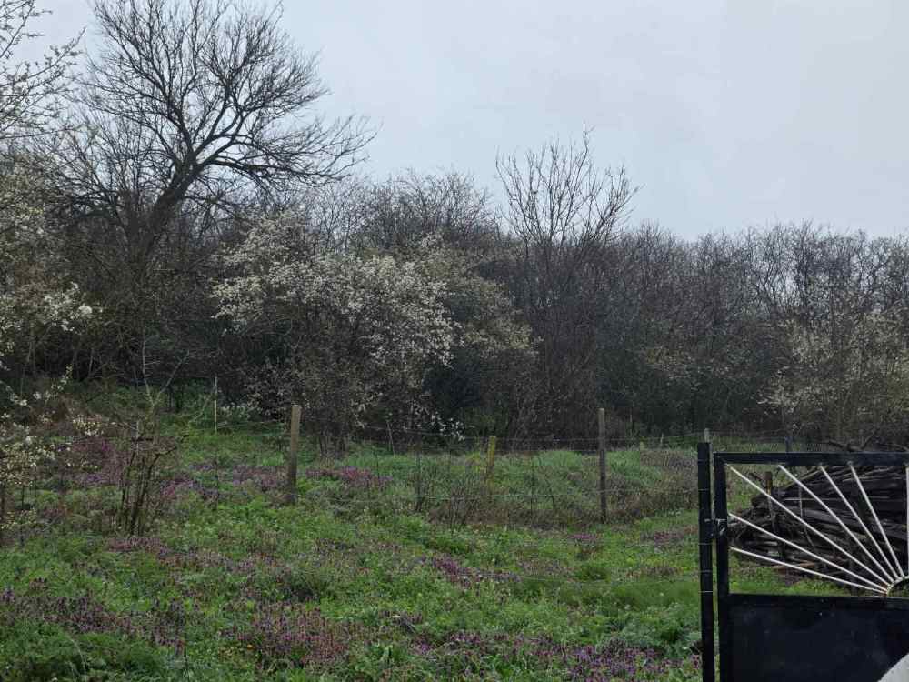 Парцел в Бояна, с. Бояна, общ. Вълчи дол, обл. Варна