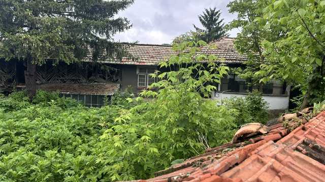 Парцел с къща в Дряновец, село Дряновец, община Разград, област Разград, ул.Неофит Рилски № 11