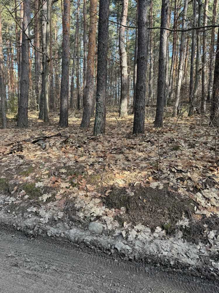 Парцел в Долни Пасарел, С. ДОЛНИ ПАСАРЕЛ