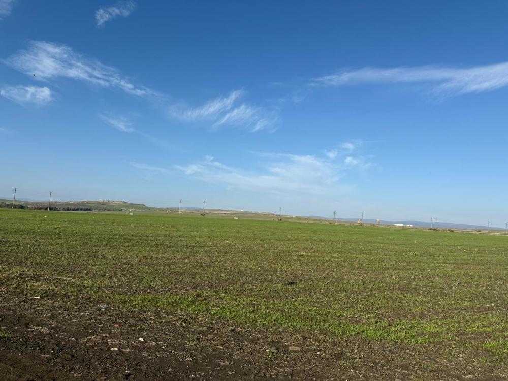 Земеделски имот в Ахелой, гр.Ахелой, местност Резервоара