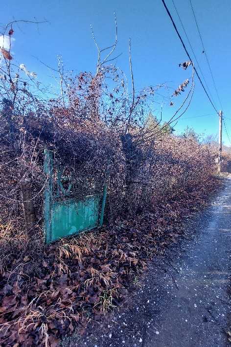 Парцел в Цар Калоян, Местността "Боровик", с.Цар Калоян, общ.Куклен