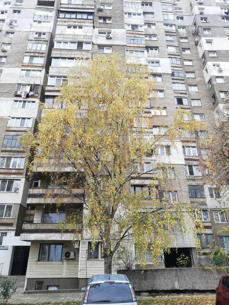 Търговски имот в София, гр. София, Бул. Цар Борис III № 464а