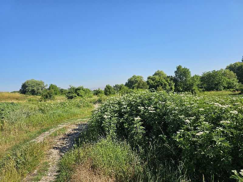 Парцел в Пролеша, местност ПРОГОН