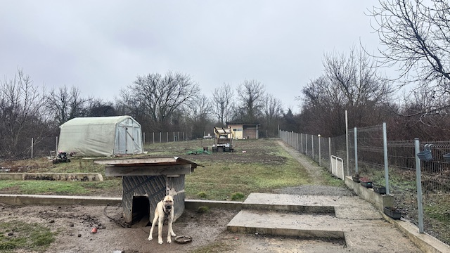 Земеделска земя в Разград, гр.Разград, Местност "БЕЛИЯ ХЪЛМ"