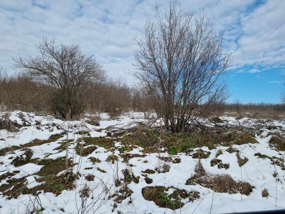 Парцел в Бояна, с. Бояна, общ. Вълчи дол, обл. Варна