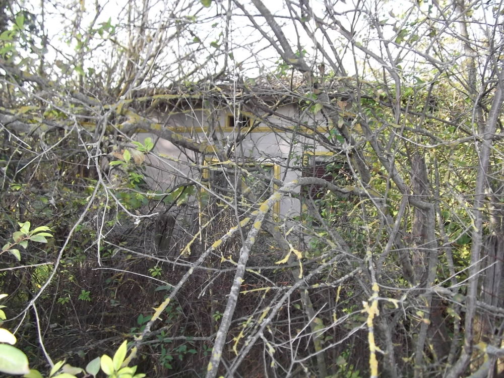 Парцел с къща в Конаре, гр. Добрич, ул. Независимост №12, ет. 2