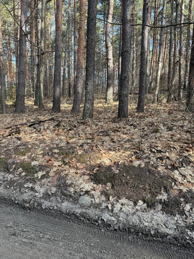 Парцел в Долни Пасарел, ДОЛНИ ПАСАРЕЛ