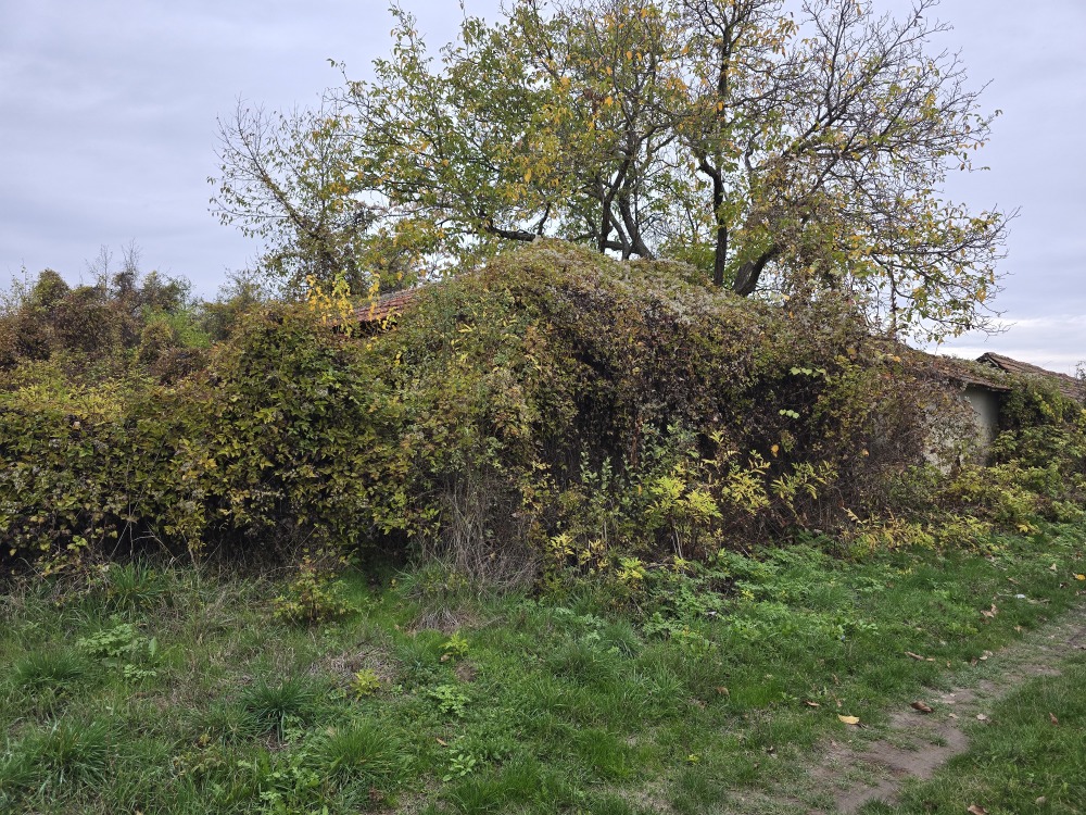Парцел с къща в Сушица, ул. Петър Янев