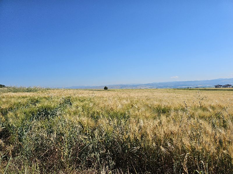 Парцел в Хераково, с. Хераково, местност "Беличка могила"