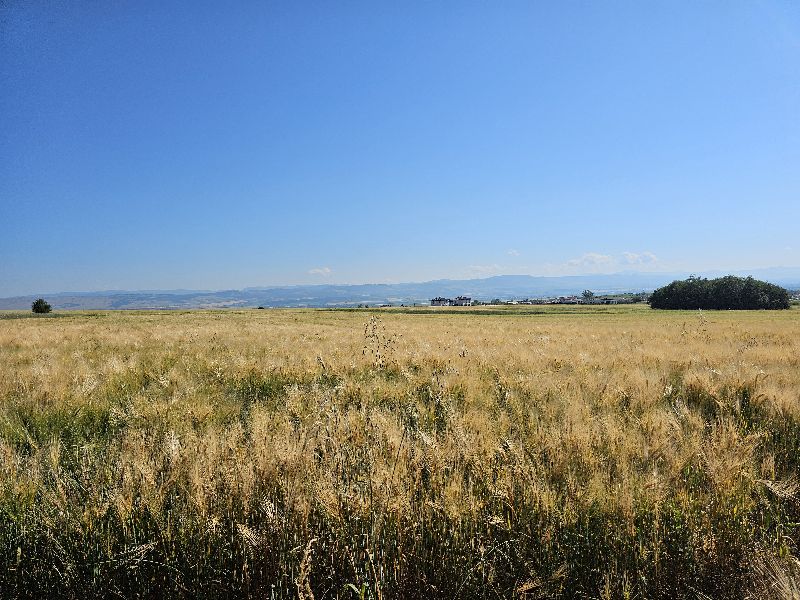 Парцел в Хераково, с. Хераково, местност "Беличка могила"
