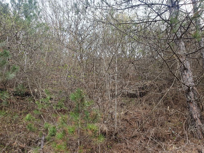 Парцел в Томпсън, гр. Костинброд, ул. "Георги Сава Раковски" № 11, ет. 2