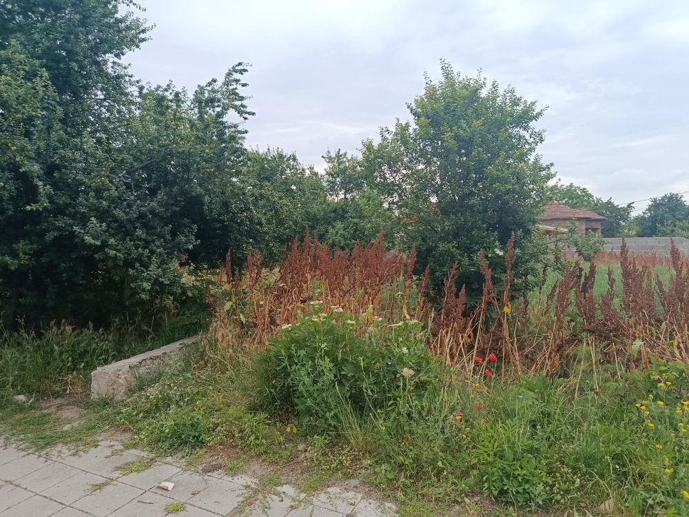 Парцел в Търничени, село Търничени, община Павел баня