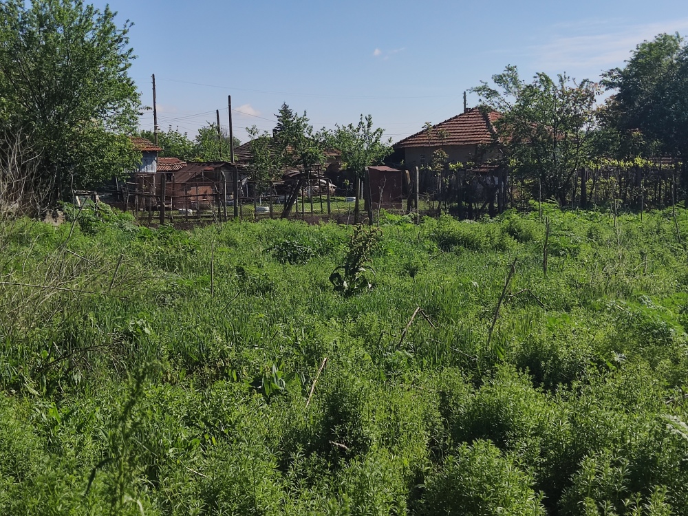 Парцел в Павел, с. Павел, общ. Полски Тръмбеш, ул. "Трета"